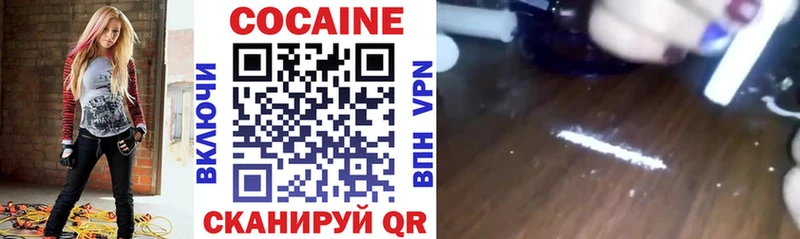 Купить закладки  Кохма  Cocaine Fish Scale 